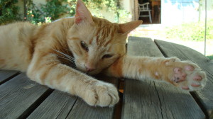 It’s a hard life